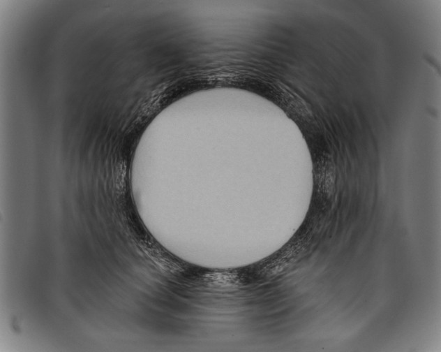 X0000097770660200804041153