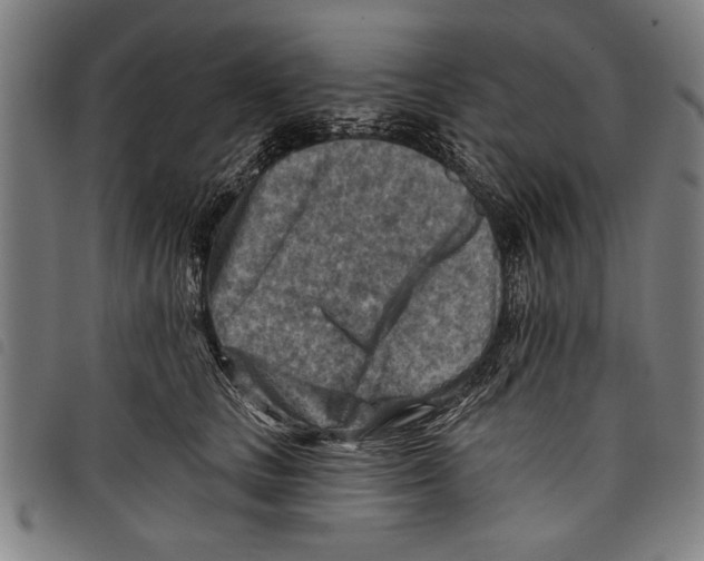 X0000097770661200804041153