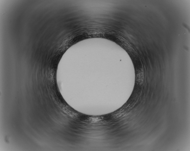 X0000097770662200804041153
