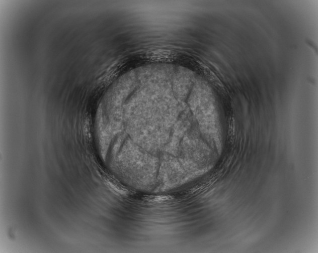X0000097770663200804041153