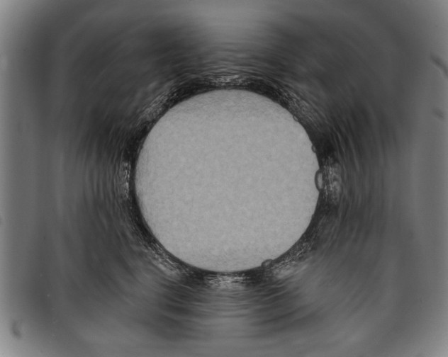 X0000097770664200804041153