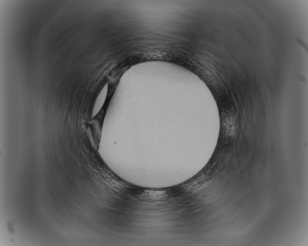 X0000097770665200804041153