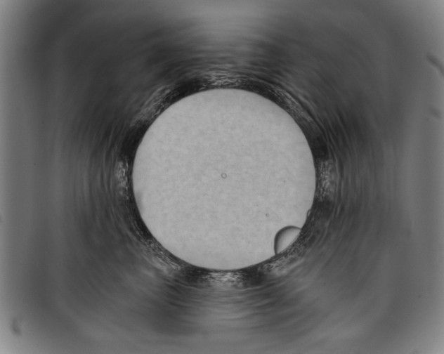 X0000097770667200804041153