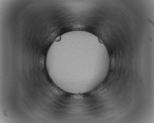 X0000097770668200804041153