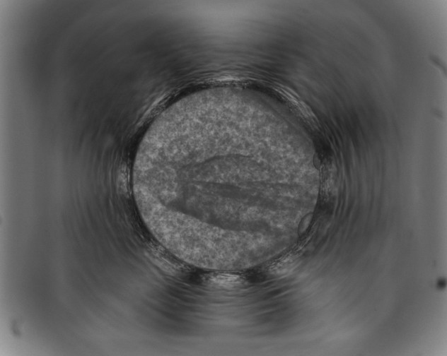 X0000097770669200804041153
