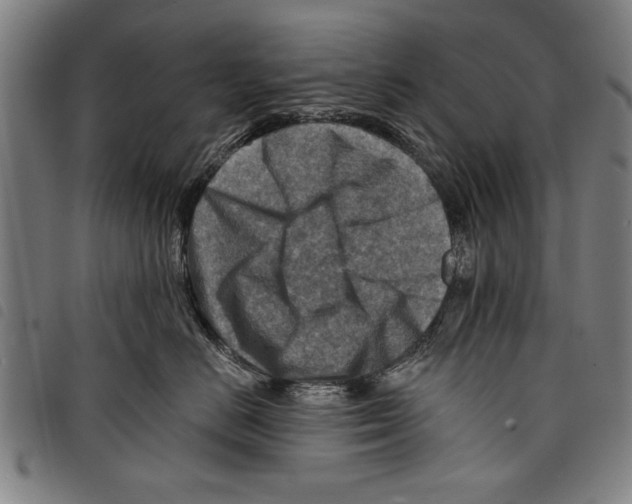 X0000097770670200804041153
