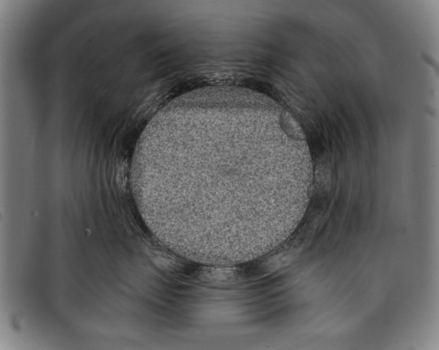 X0000097770671200804041153