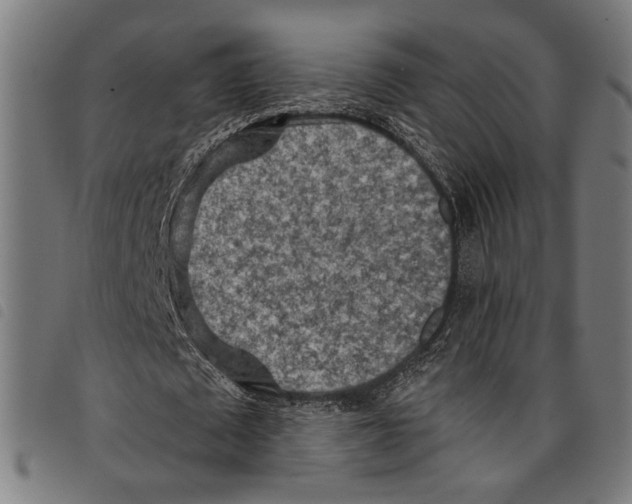 X0000097770673200804041153