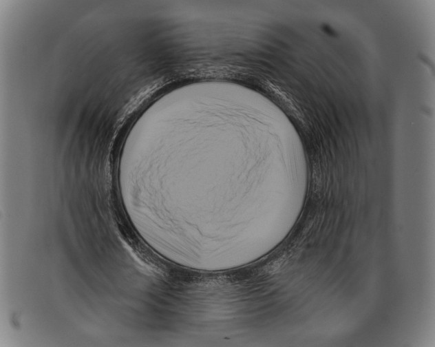 X0000097770674200804041153