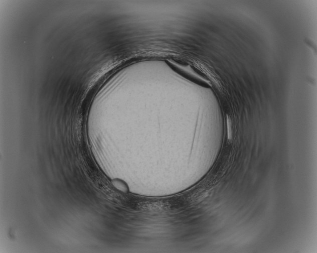 X0000097770675200804041153