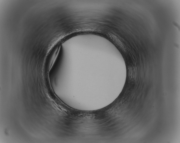 X0000097770676200804041153