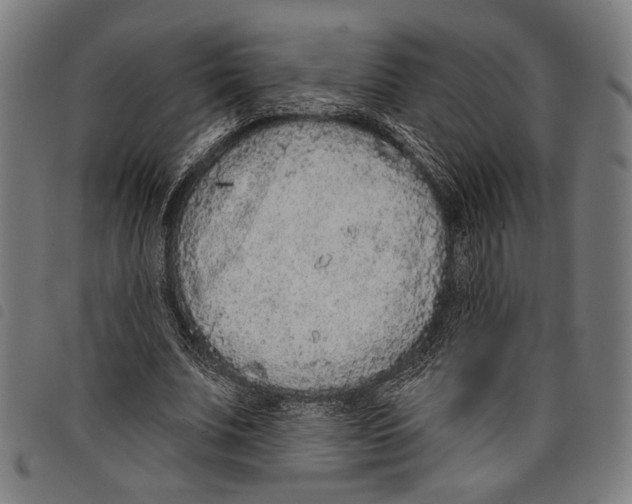 X0000097770679200804041153