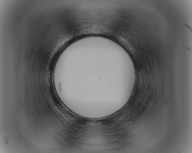 X0000097770680200804041153