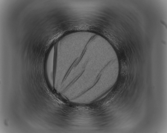 X0000097770681200804041153