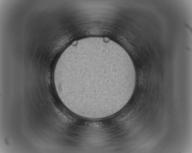 X0000097770683200804041153