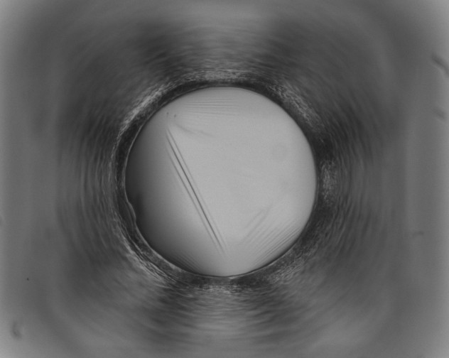 X0000097770684200804041153