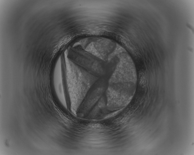X0000097770685200804041153