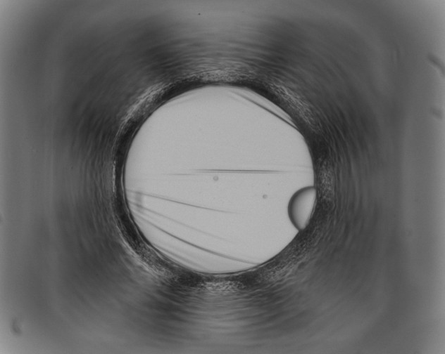 X0000097770686200804041153