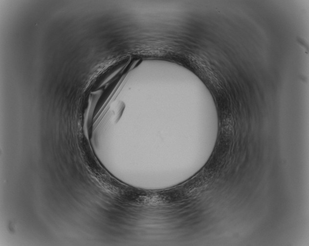 X0000097770688200804041153