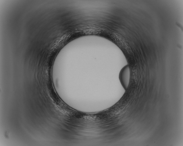 X0000097770690200804041153