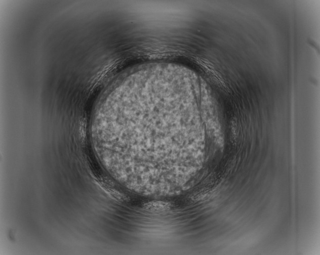 X0000097770691200804041153