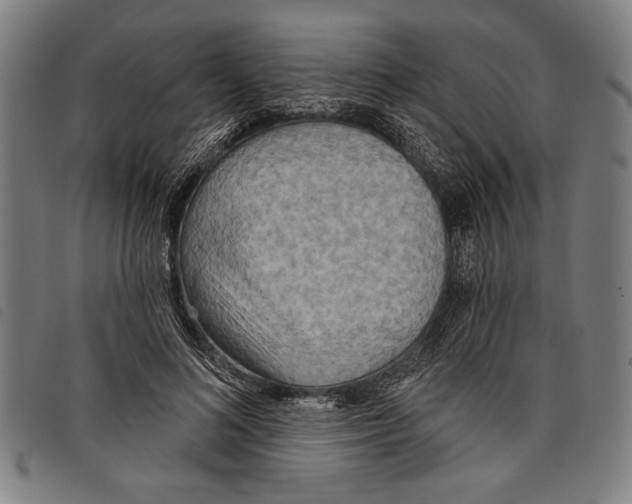 X0000097770692200804041153