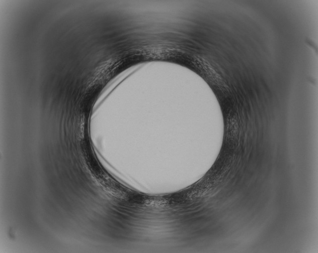 X0000097770694200804041152