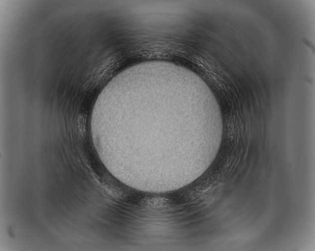 X0000097770695200804041152