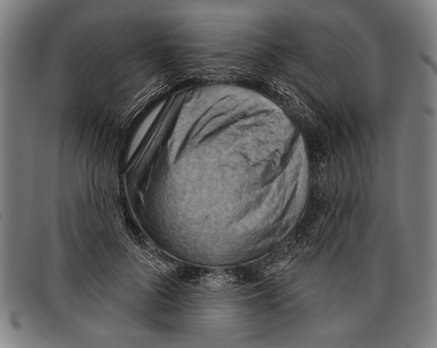 X0000097770696200804041152