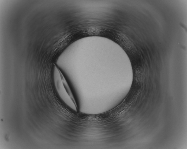 X0000097770697200804041152