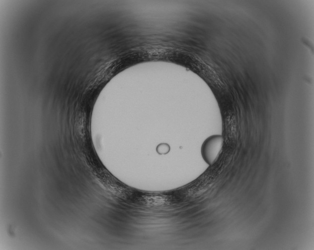 X0000097770698200804041152
