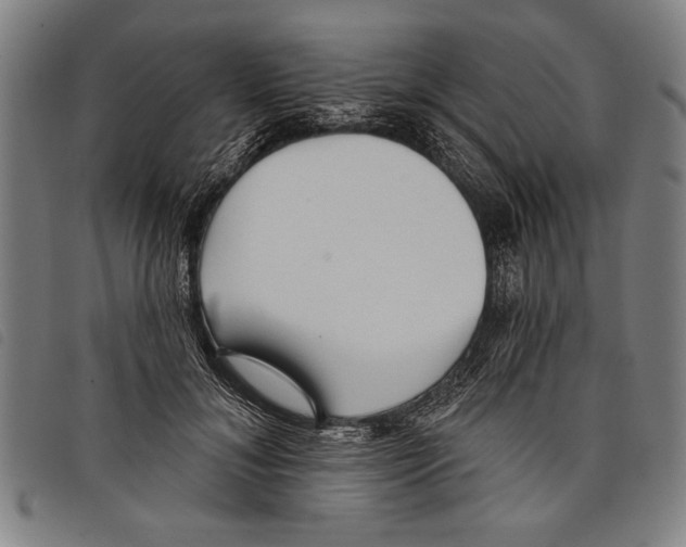X0000097770700200804041152