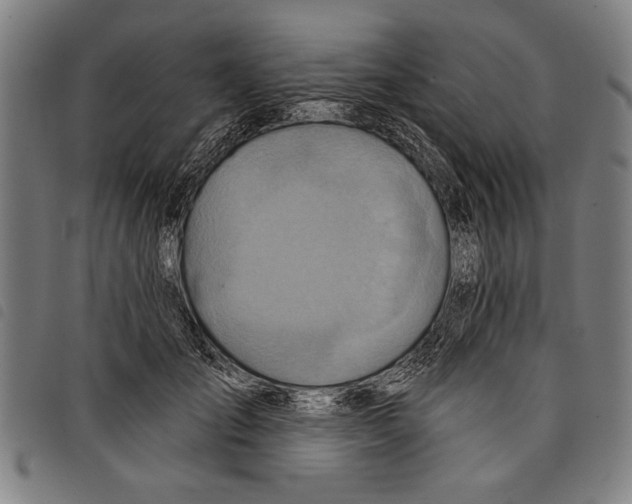 X0000097770701200804041152