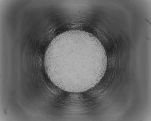 X0000097770703200804041152