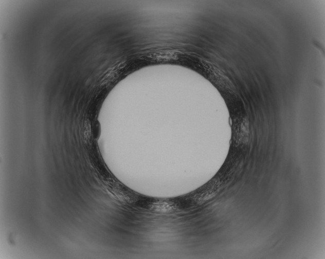 X0000097770704200804041152