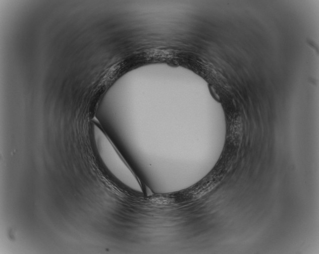 X0000097770708200804041152