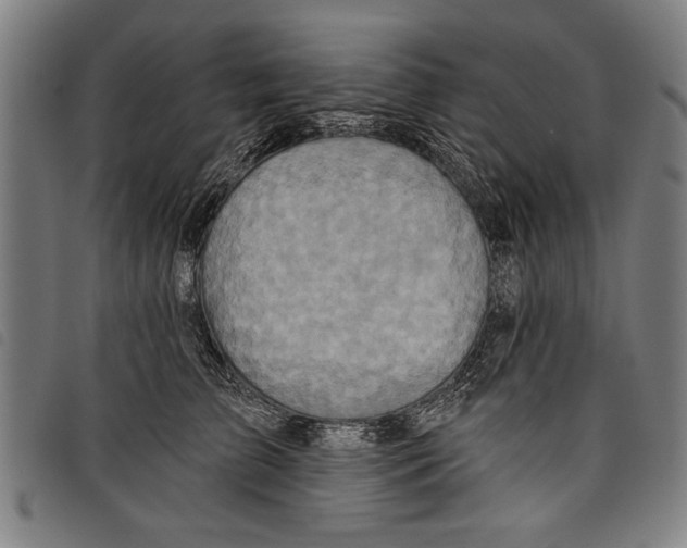 X0000097770709200804041152