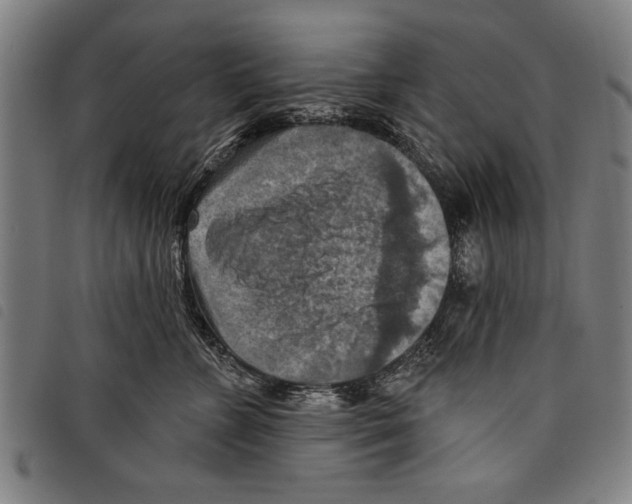 X0000097770715200804041152