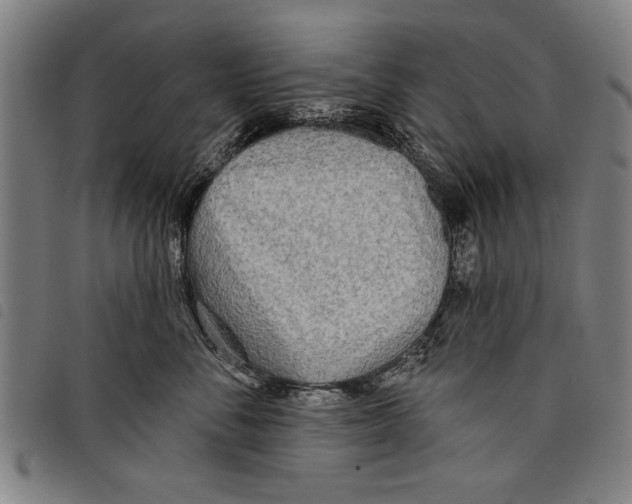 X0000097770716200804041152