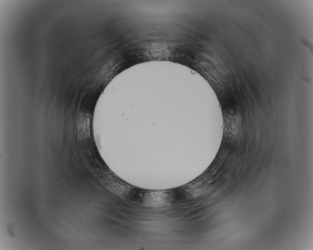 X0000097770717200804041152