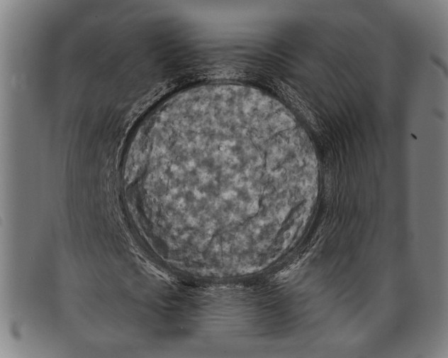 X0000097770721200804041151