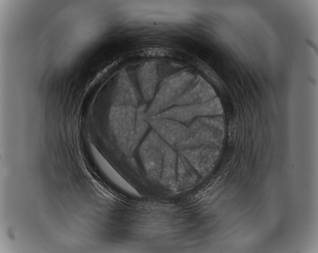 X0000097770722200804041151