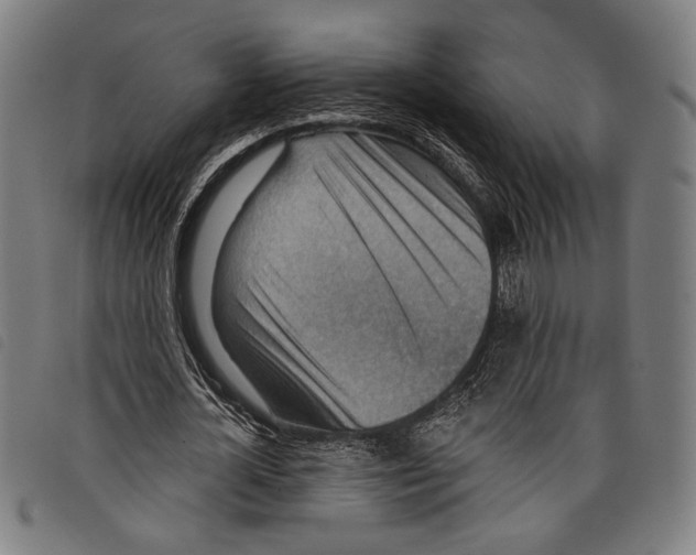X0000097770724200804041152
