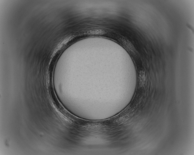 X0000097770726200804041152