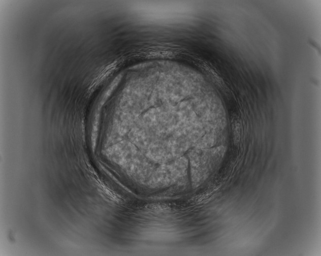 X0000097770729200804041152