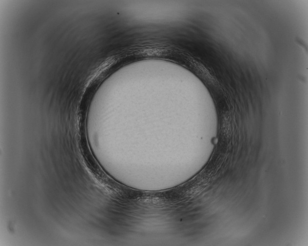 X0000097770730200804041152