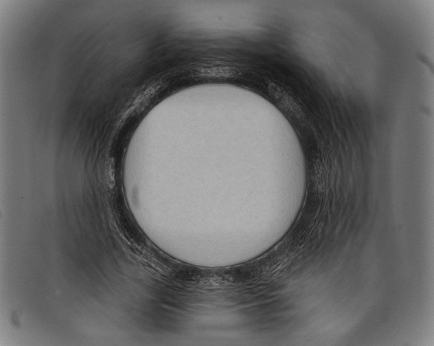 X0000097770731200804041152