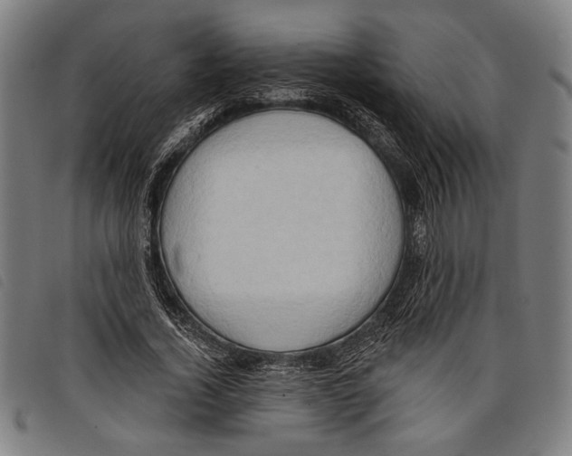 X0000097770732200804041152