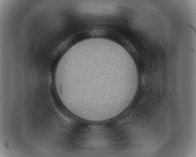X0000097770733200804041152