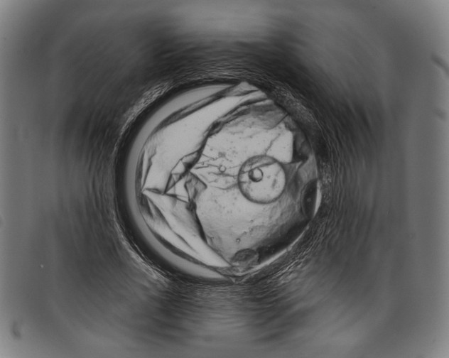 X0000097770734200804041152